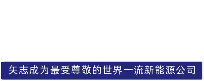 凯时尊龙股份